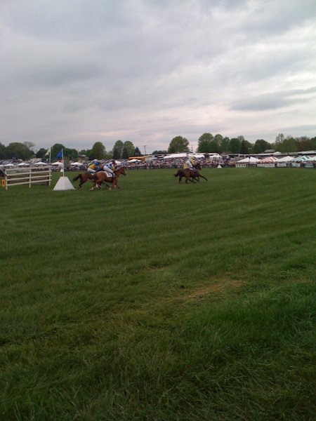 Gold Cup 016.JPG